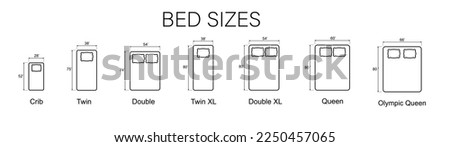 Bed Sizes and Mattress Dimensions . Pictograms depict icons of bed sizes. Vector