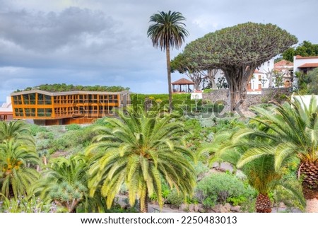 1000 years old Drago tree and Church of Mayor de San Marcos in the old town at Icod de los Vinos, Tenerife, Canary islands, Spain.