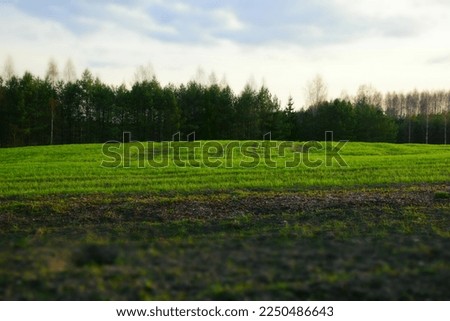 Spring nature landscape in Latvia. Stock Photo