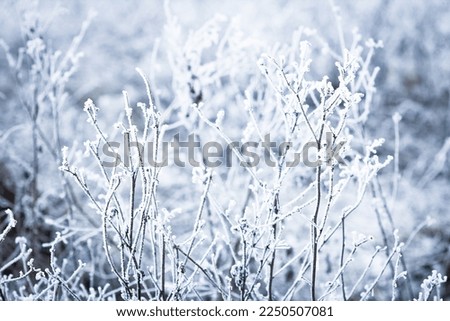 Beautiful winter background on nature in travel park