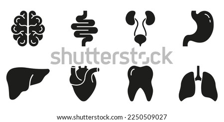Human Brain, Intestine, Urinary System, Tooth, Stomach, Lung, Liver, Heart Silhouette Icon Set. Healthcare Glyph Icon. Internal Organ Anatomy Black Pictogram. Isolated Vector Illustration. Royalty-Free Stock Photo #2250509027