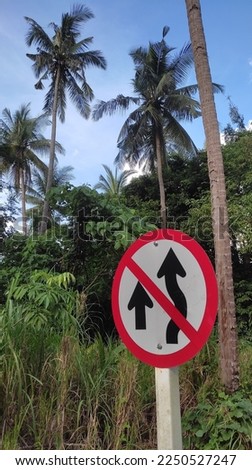 Overtaking prohibitions sign in the woods of palm. Perfect for posters and post cards.