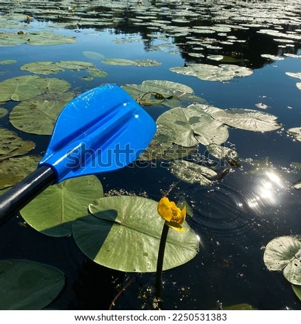 Kayaks on the lake in summer