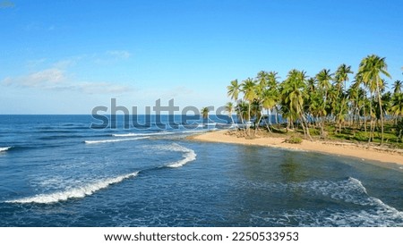 The shore of the wild tropical beach with tall palm trees. Ocean waves turquoise color of water. Beautiful Caribbean landscape 