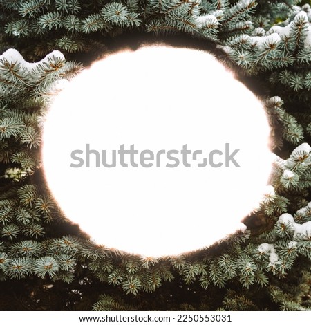 Winter picture for a greeting card. Invitation, place for text. Christmas tree with snow.