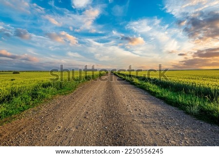 Country road and green wheat fields natural scenery at sunrise Royalty-Free Stock Photo #2250556245
