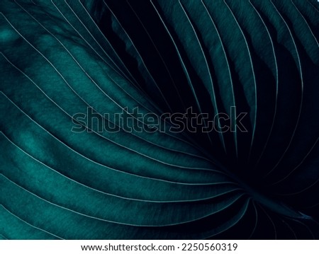Dark Moody Botanical Tropical Leaves Background