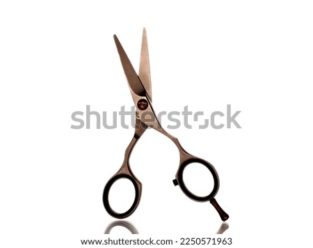 Metal scissors, macro, isolated on white background.