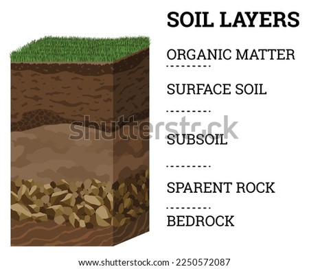 Soil layers. Surface horizons upper layer of earth structure with mixture of organic matter, minerals and stones. Dirt and underground clay layer under green grass