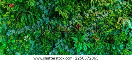 Herb wall, plant wall, natural green wallpaper and background. nature wall.  Nature background of green forest Royalty-Free Stock Photo #2250572865