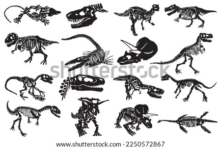 Graphical illustration, set of dinosaur skeletons isolated on white background,vector illustration