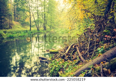 vintage photo of wild river in autumnal forest