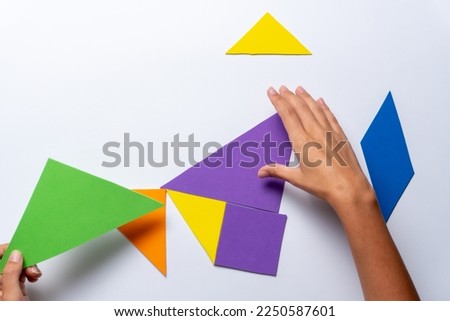 Puzzle or tangram game, made with colored paper or cardboard at school or at home, for children