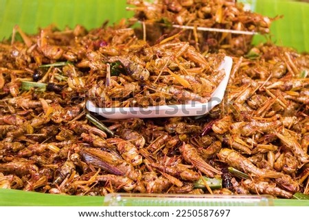 Exotic Asian food, insect-based food (protein nutrition). Thai ancient cuisine. Fried insects, Bombay locust Royalty-Free Stock Photo #2250587697
