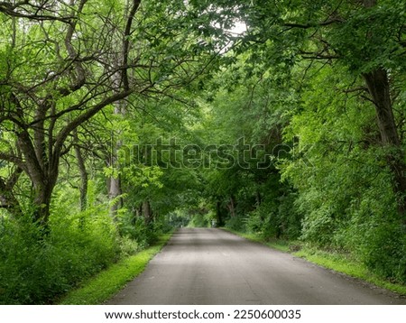 A road through a wooded state park