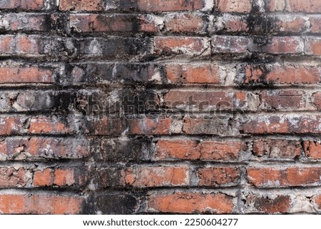Real brick wall background and texture
