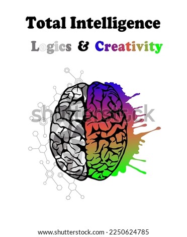 A flat illustration of a human brain indicating the logical and the creative sides that makes up the human's total intelligence.