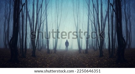 man in dark fantasy woods landscape Royalty-Free Stock Photo #2250646351