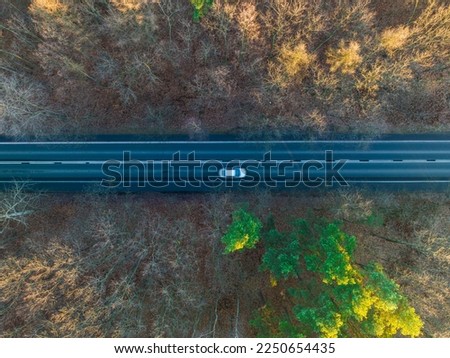 A road running through the forest. The concept of the forest and the road that runs along the bird's eye view, made with a drone.