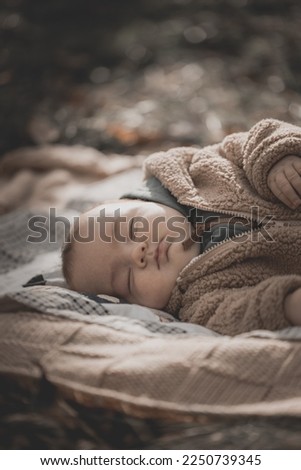 New born baby sleeping on blanket fall family photo shoot in forest
