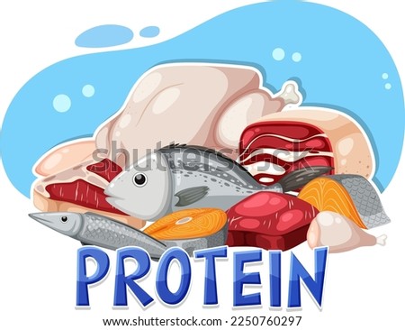Variety of protein foods illustration