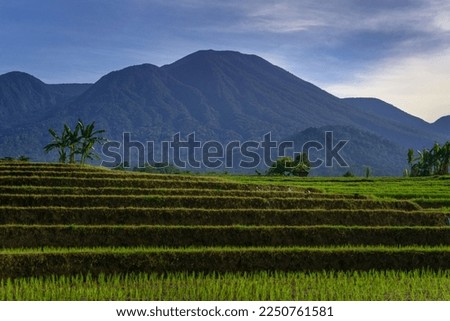 Indonesia's natural scenery when the rice is green and the mountains at sunrise are bright