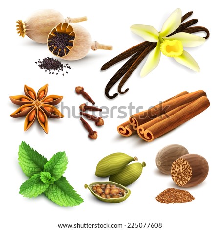 Herbs and spices decorative elements set of poppy seed vanilla cinnamon isolated vector illustration Royalty-Free Stock Photo #225077608