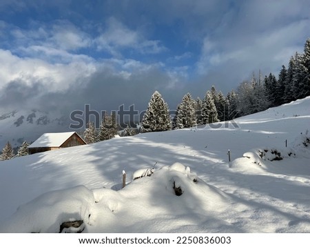 A magical play of sunlight and shadow during the alpine winter on the snowy slopes above the Lake Walen or Lake Walenstadt (Walensee), Amden - Canton of St. Gallen, Switzerland (Schweiz)