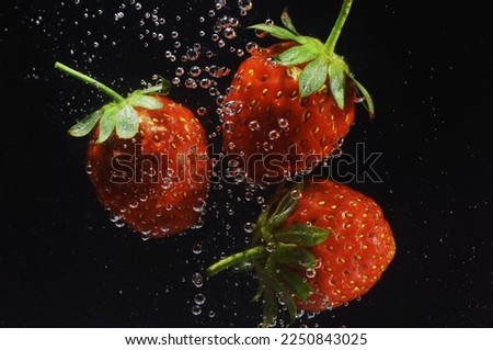 floating group strawberry on the water with splash isolated black background