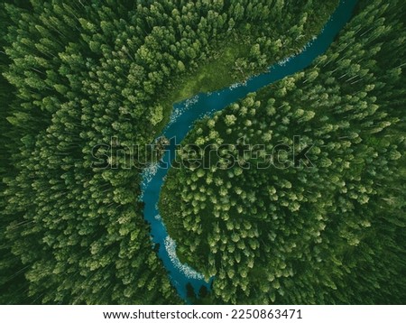 Aerial view of green grass forest with tall pine trees and blue bendy river flowing through the forest in Finland Royalty-Free Stock Photo #2250863471