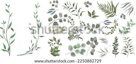 Mix of herbs and plants vector big collection. Juicy eucalyptus, green plants and leaves. All elements are isolated 