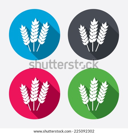 Agricultural sign icon. Gluten free or No gluten symbol. Circle buttons with long shadow. 4 icons set. Vector