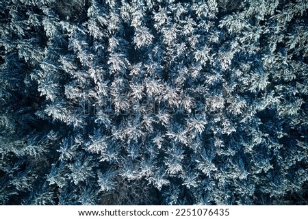 Snow covered tree during winter in Quebec Canada Royalty-Free Stock Photo #2251076435