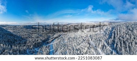 Panoramic aerial view of the boreal forest frozen in the cold Royalty-Free Stock Photo #2251083087