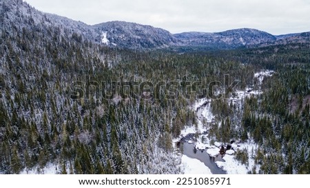 Aerial view of a river running through the boreal forest frozen in the cold