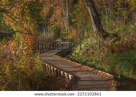 Curved walking trail in autumn park forest