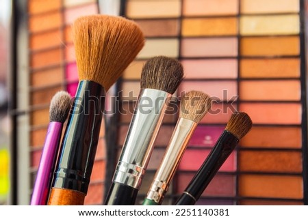 Professional make-up tools. Palettes of paints, shadows, makeup brushes. Paints and brushes for watercolor painting.