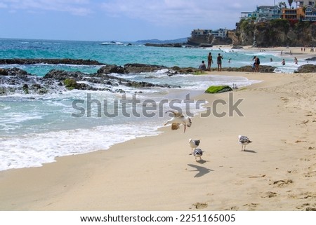 blue ocean water, crashing waves,  with seagulls in flight in people on the beach blue skies and the beach at 1000 Steps Beach in Laguna Beach California USA Royalty-Free Stock Photo #2251165005