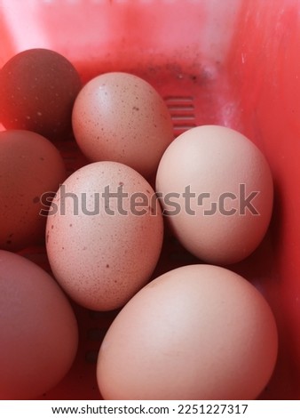 chicken eggs in plastic baskets, free-range chicken eggs.