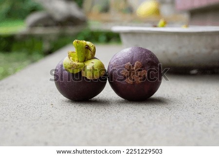 Mangosteen, also known as the purple mangosteen, is a tropical evergreen tree with edible fruit native to tropical lands surrounding the Indian Ocean