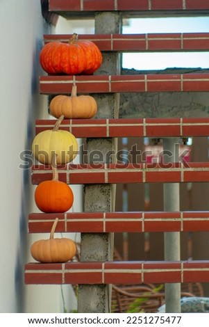 Decorative pumpkins on exterior steps on a building or house or home in the neighborhood or residential area. Flat red brick steps with orange and white squash in fall or for halloween holiday.