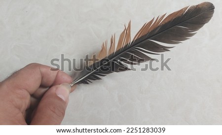 A simple chicken feather used as an object against a ceramic background