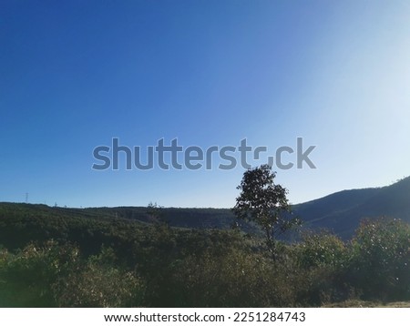 Green landscape mountain and few trees. Blue sky after a night of light rain