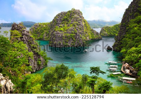 landscape of Coron, Busuanga island, Palawan province, Philippines Royalty-Free Stock Photo #225128794