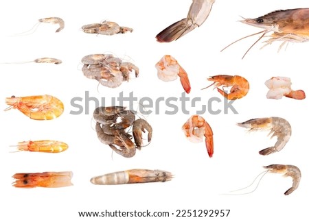 fresh shrimp cuisine food isolated on white background.