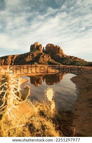 Vertical image of close up view of cactus in foreground and cathedral rock in background as seen from secret slickrock in Sedona Arizona with reflection of geological sandstone rock formations.
