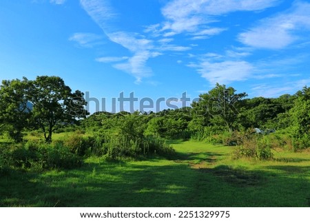 It is a rural landscape showing the living ecosystem of Jeju Island, South Korea.