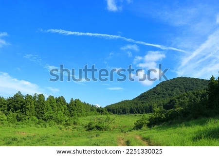 It is a rural landscape showing the living ecosystem of Jeju Island, South Korea.