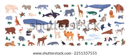 Different world animals set. Cute childish fauna, wildlife. Wild land and sea mammals, birds. Various bears, whale, kangaroo species. Flat graphic vector illustrations isolated on white background