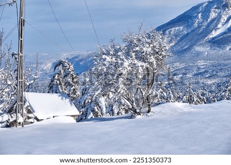Beautiful and relaxing winter snowy landscape